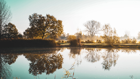 Natuurlijk uitzicht 📸