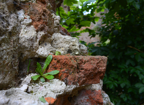 Detail van de ruine