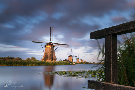 5 op een rij