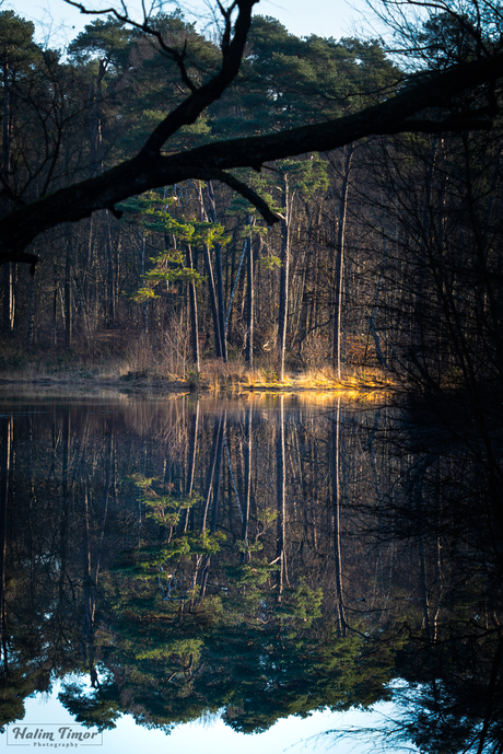 Reflections
