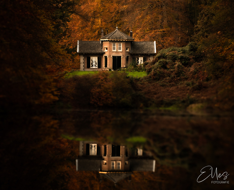 Verscholen door de herfst