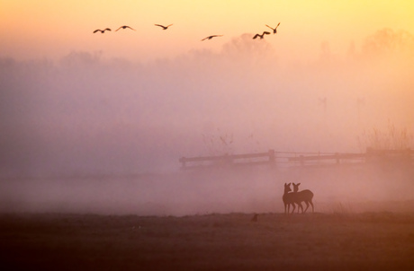 Samen wakker worden