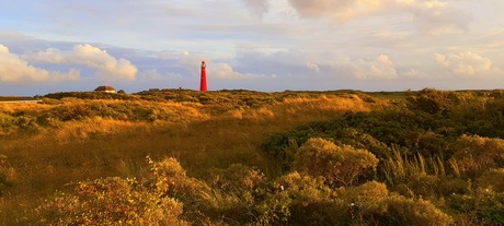 Schiermonnikoog 