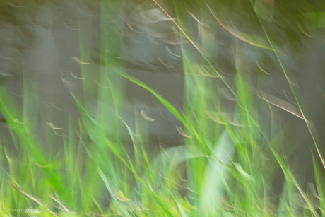 de G van................