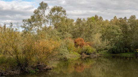 Herfst in de Uiterwaard