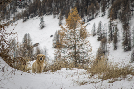 ik kan me ook wel camoufleren hoor :)