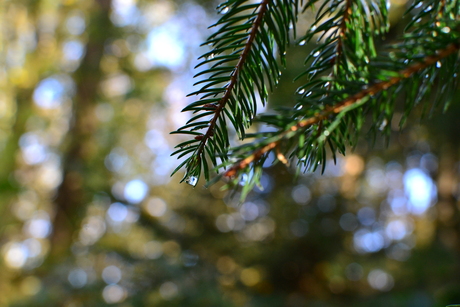 A drop of water changes the world.