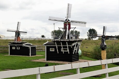 P1150960  Groeneveldse  pad  . DRIE   Mini molens op een RIJ 13 sept 2021 