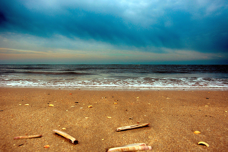 Blik naar de horizon