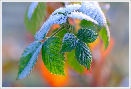 beetje winter in Nederland