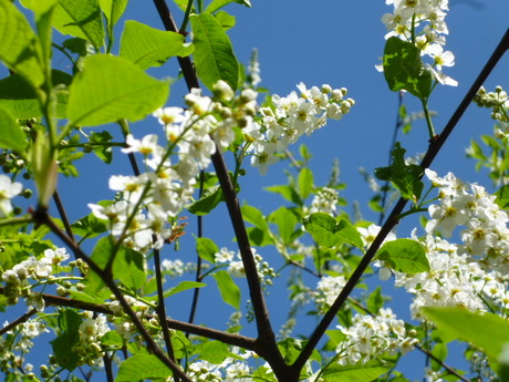 Happy Spring