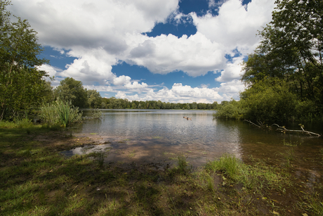 Landschap