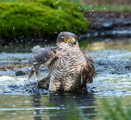 30 gr dan is fijn om te baden