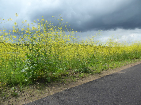 Mooi berm 2