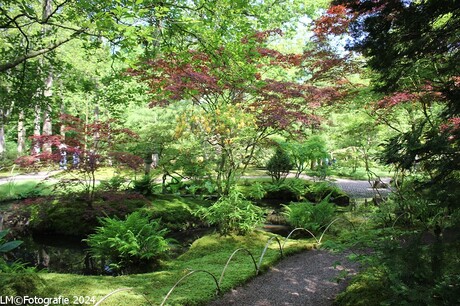 Japanse tuin.