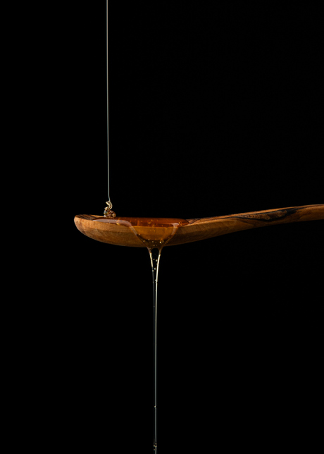Houten lepel en honig 2.0