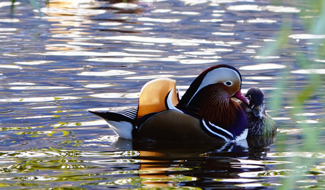 zijn we een stelletje of niet