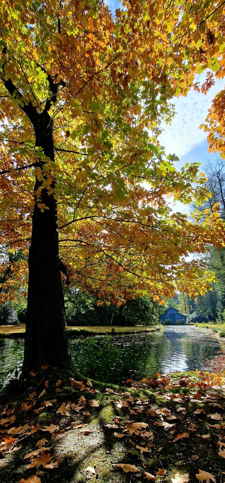 Herfstkleuren in het zonnetje 