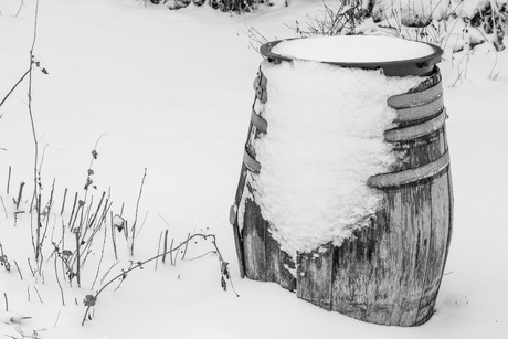 Jan huigen in de ton