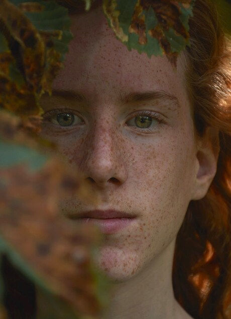 de jongen  verscholen in het bos 