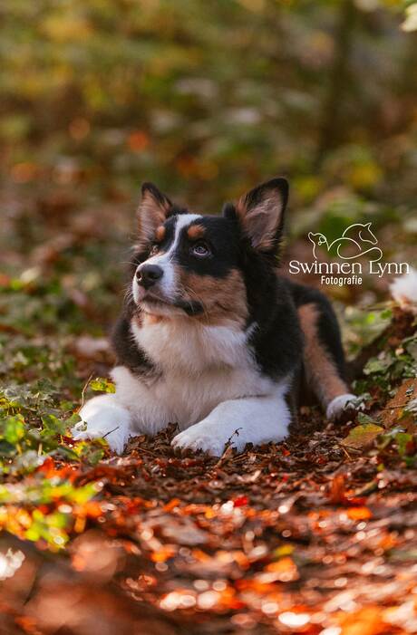 herfstfotoshoot met Xo