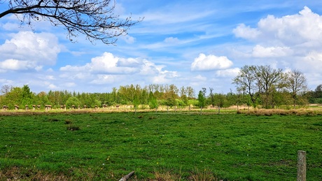 Zicht op de urkhovense zeggen 