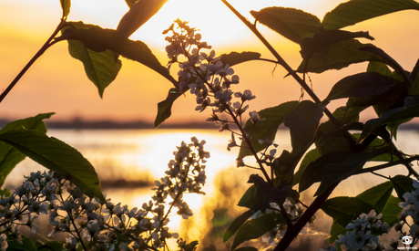Zonsondergang 