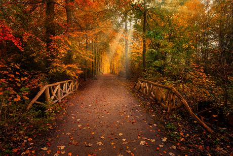 Herfstbrug