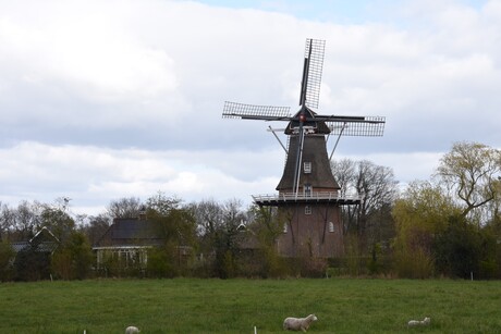 Molen Suameer