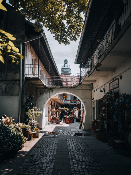 Kraków 
