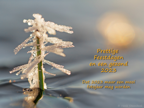 Prettige feestdagen