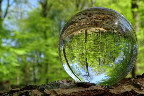 Glazenbol fotografie 