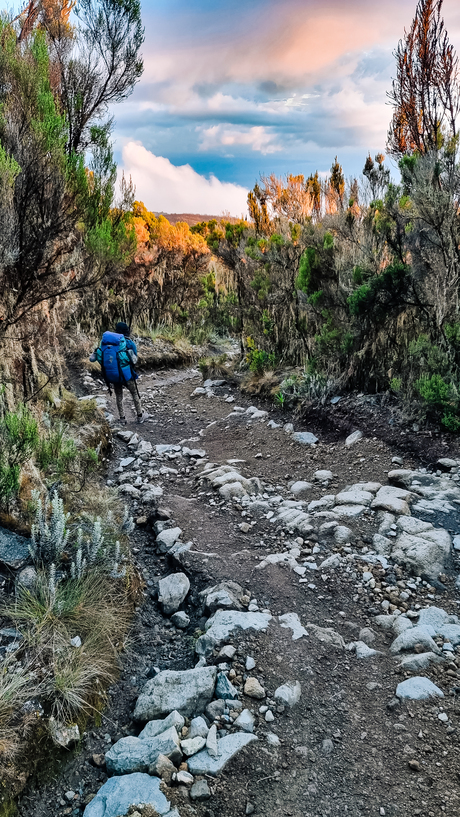 the way down 