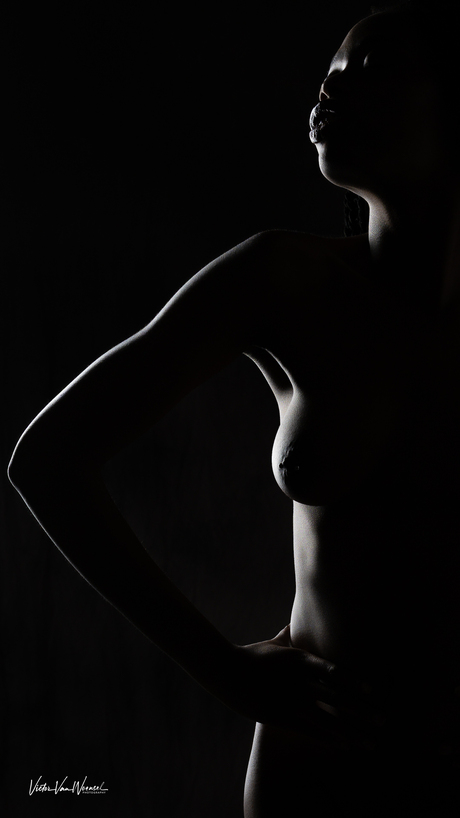 Silhouette of Grace