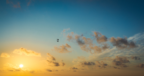 Te vroeg voor zonsondergang…