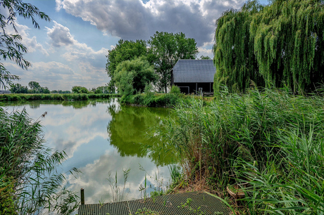 Oude zeedijk 