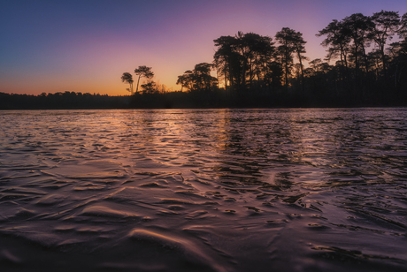 Winterwonderland aan de Oisterwijkse vennen