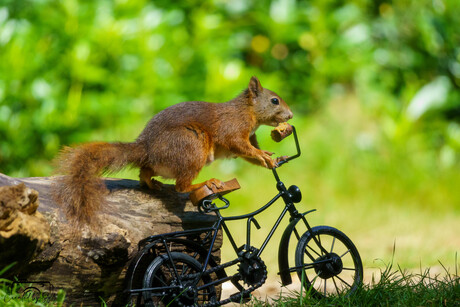 Stap maar op de fiets bij mij.