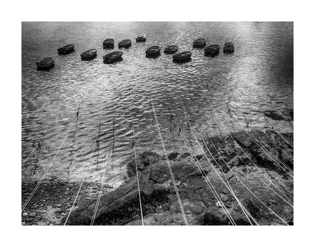 - Frankrijk | Bretagne | Aan de lijn -