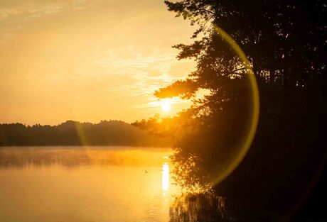 Kempense Meren, Rauw