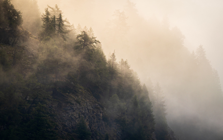 Mist bij zonsopkomst in de Zwitserse bergen