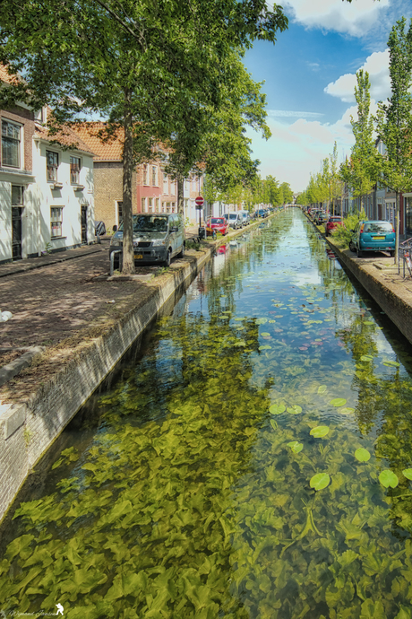 The canals in delft are clean and green