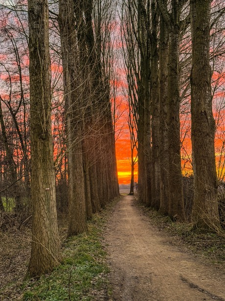 Groene Straatje, Leuth