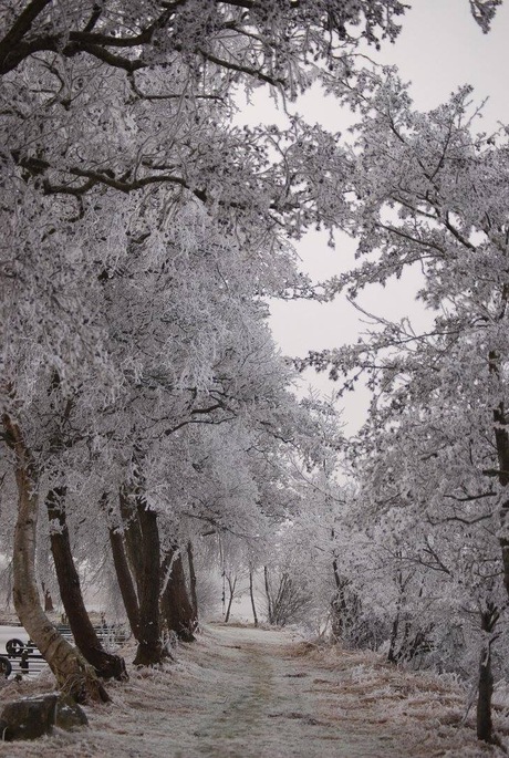 Winters doorkijkje 