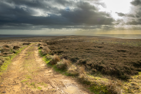 The Moors in de winter