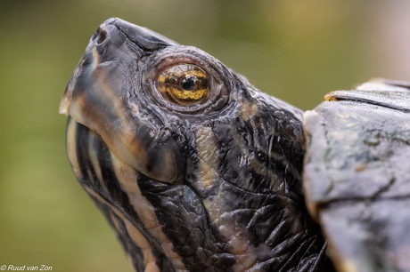 In oog met je eigen reflectie