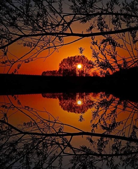 Rode zonsondergang omlijst door de natuur