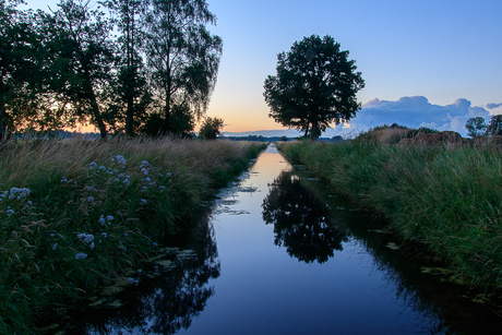 Spiegeling in het water