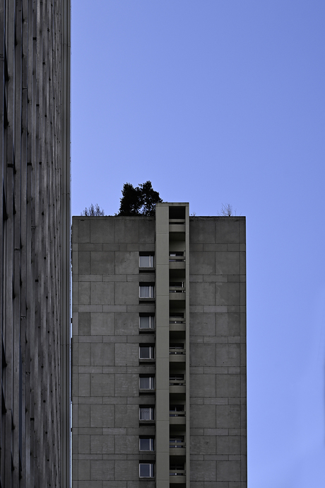dakterras op linkeroever