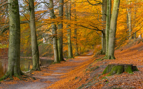 Park Zypendaal Arnhem